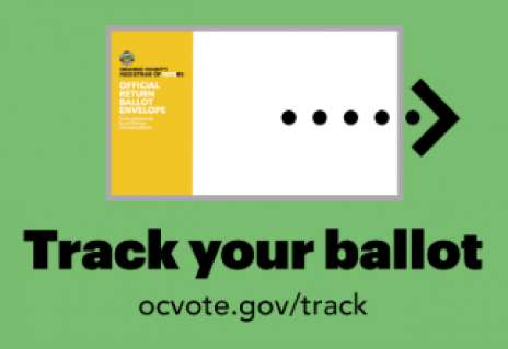 Confirm Your Ballot Was Counted